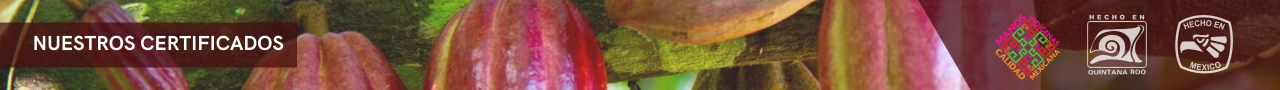 Banner_certificados3